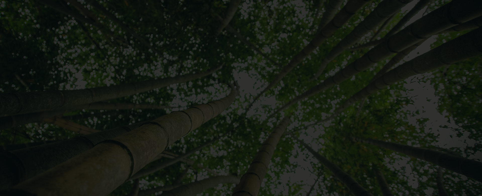 集裝(zhuāng)箱地闆